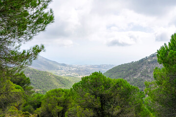 Panoramic view on Mediterranean Sea from forest near Mijas, Malaga 