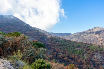 Trail towards peak Mijas, Malaga 