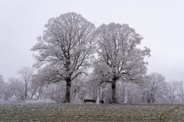 Winter auf dem Dreifaltigkeitsberg Spaichingen