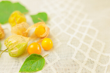 ほおずきの実と葉