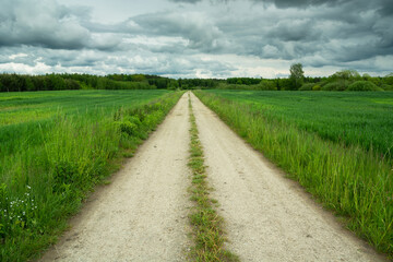 Fototapeta na wymiar Dirt road through green fields and cloudy sky