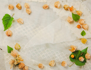 ホオズキ　フレーム