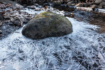 A crystal ice shell on the surface of a forest stream