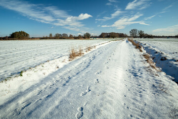 Footprints on a snow-covered road between fields