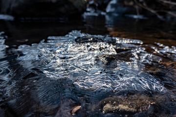 A crystal ice shell on the surface of a forest stream