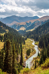 mountain river stretching into the distance, top view, forest, blue water