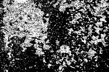 Grunge texture. Graphic design element. Black and white image