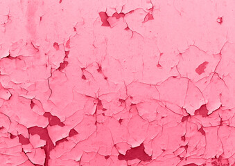 Viva Magenta. Texture of old cracked paint. Scratched old surface. The image is colored in Viva Magenta 2023. trendy background, new background