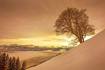 Allgäu - Winter - Berge - Sonnenuntergang - Alpen 