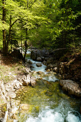 Naklejka na ściany i meble an emerald green brook (Steinacher Achen river) in Pfronten, Fallmuehle, in the Bavarian Alps of the Allgaeu region (Allgaeu, Bavaria, Germany)