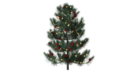 christmas tree isolated on white background