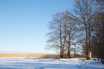 Winter landscape frozen water surface  silhouettes of trees in the foreground.