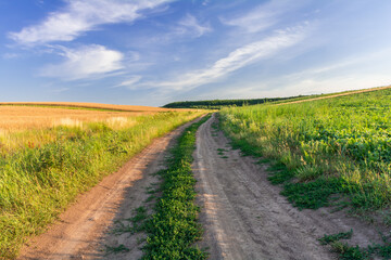 A field road between the slopes of the fields of agricultural crops