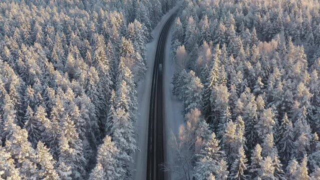 Winter road between snow covered forest at sunset aerial view. Sunny day, sun flare in the top of trees. One car on the road. Establishing shot, background