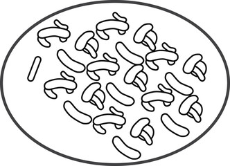 Lactobacillus icon, microbiology icon vector 