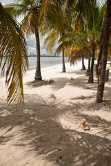 One of the beach in Miami in cloudy day