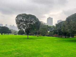 Large green grass in the city park