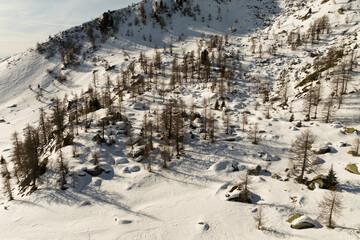 Fototapeta na wymiar Aerial drone view of Madonna di Campiglio Trentino and ursus snowpark in Val Rendena dolomites Italy in winter