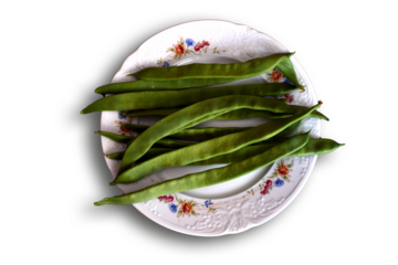 Alubias verdes en un plato blanco. 