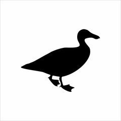 Obraz premium a duck silhouette isolated on white background 
