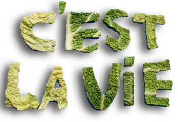 Esta es la vida escrito en francés con ojas de verdura. 