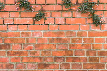 Obraz premium レンガの壁と花