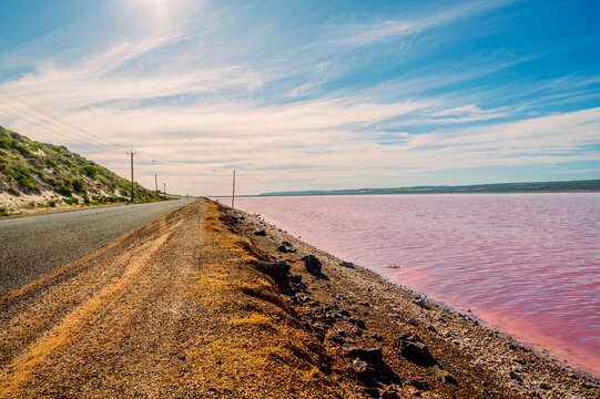 What Makes Salt Lakes Pink?