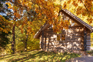 A wooden hut in a forest of colorful autumn leaves