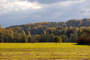 Fototapeta premium Nature view with autumn trees, green grass and sun with blue sky and gray clouds