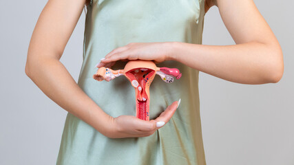Asain woman holds model of female reproductive system in the hands. Help and care concept
