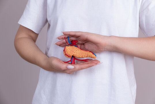 woman holding pancreas in the hands. Help and care concept