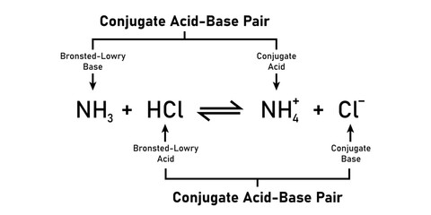 bronsted-lowry acid-base reaction theory. Scientific vector illustration isolated on white background.
