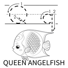 Cute Sea Animal Alphabet Series. Q is for Queen angelfish. Vector cartoon character design illustration.