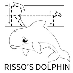 Cute Sea Animal Alphabet Series. R is for Risso's Dolphin. Vector cartoon character design illustration.