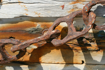 Legno invecchiato al sole ed alla salsedine