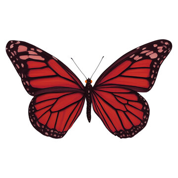 Red Butterfly Insect Variation 2 Digital Art By Winters860 Isolated, Transparent Background 