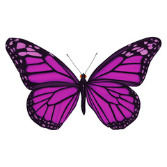  Purple Butterfly Insect Variation 1 Digital Art By Winters860 Isolated, Transparent Background 