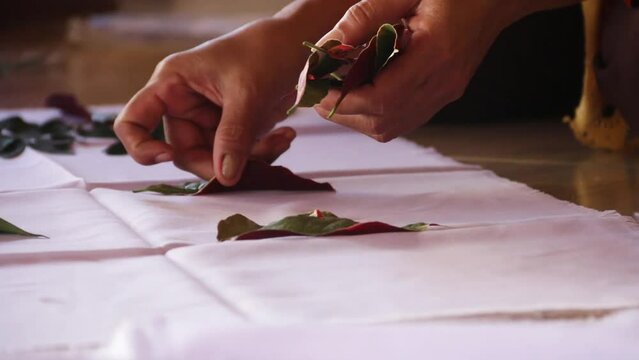 the video camera shakes, the hands of an Asian adult woman arrange the leaves on the cloth, as one of the steps for making ecoprint batik cloth.