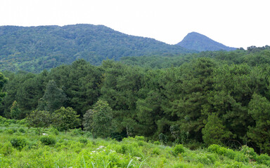 Beautiful view of Mount Gede in the morning.