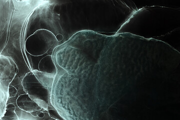 Alcohol ink abstract dark background. Black acrylic paint in water. Texture of marble. Print pattern