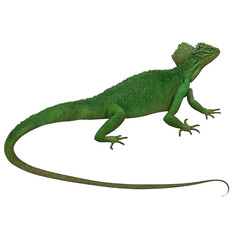 Green Lizard 2 Reptiles Digital Art By Winters860 Isolated, Transparent Background 
