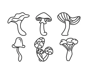 mushroom icons set vector line illustration