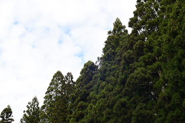 Obraz premium 山と空