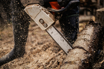 Close up of a logger cutting woods with chainsaw.