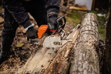 A lumberjack is cutting and sawing woods with chainsaw.