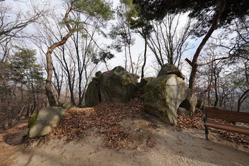 韓国　ソルボン公園の風景(イチョン)