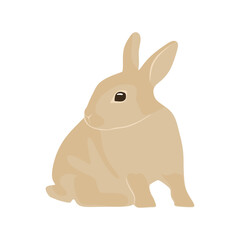 Cute rabbit posing. Illustration of a beautiful rabbit isolated on a white background. Rabbit Vector illustration. eps10