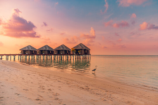 Amazing beach landscape. Beautiful Maldives sunset seascape view. Horizon colorful sea sky clouds, over water villa pier pathway. Tranquil island lagoon, tourism travel background. Exotic vacation © icemanphotos
