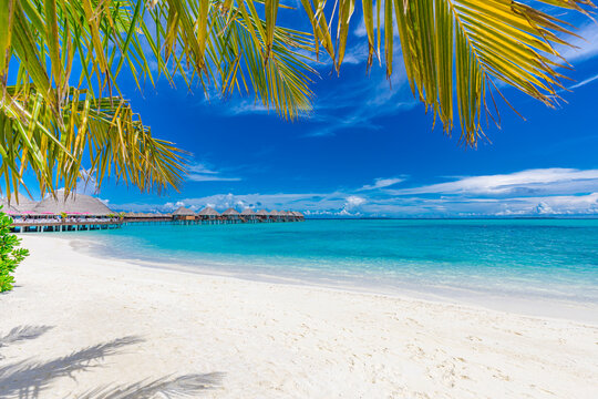 Luxury hotel with water villas and palm tree leaves over white sand, close to blue sea, seascape. Beach chairs, beds with white umbrellas. Summer vacation and holiday, beach resort on tropical island
