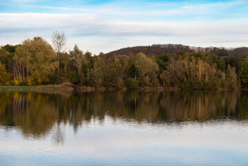 Reflecting autumn trees in a water pond, Rotselaar, Belgium